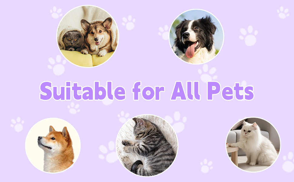 Is Your Cat Constantly Hacking Up Hairballs? This 3-in-1 Steamy Tool Is a Game-Changer