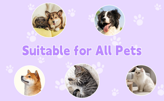 Is Your Cat Constantly Hacking Up Hairballs? This 3-in-1 Steamy Tool Is a Game-Changer